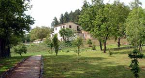 Orto botanico