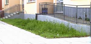 Le erbacce fuori la scuola di Marta