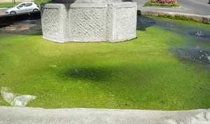 La fontana di piazza della Rocca invasa dall'alga verde