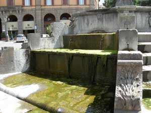 La fontana di piazza della Rocca invasa dall'alga verde