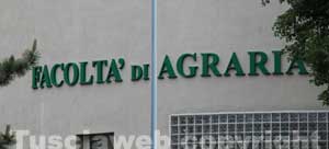 Il Dafne dell'Unitus