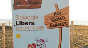 La spiaggia per cani e gatti a Tarquinia