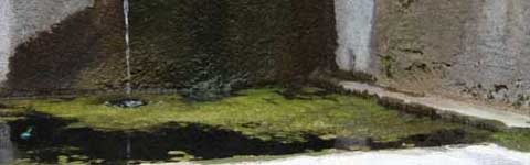 La città allo sbando  - La fontana di piazza della Rocca
