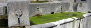 La fontana di piazza della Rocca ricoperta di melma verde