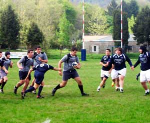 I Lions in azione