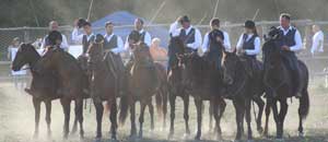 Festa della Merca