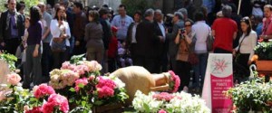 San Pellegrino in Fiore