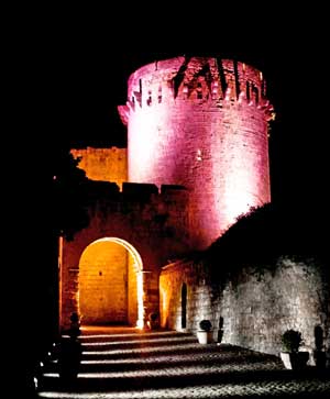 “Tarquinia in Rosa” per la Race for the Cure