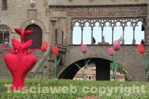 Inaugurato Viterbo in fiore 2012