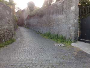 Erbacce nel centro storico