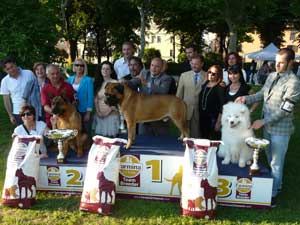 Best in Show 2012