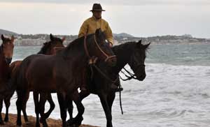 I cavalieri di maremma di Montalto di Castro