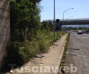 Sterpaglie sulla Tuscanese