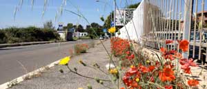 Le strade di accesso alla città "in fiore"