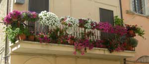 Al via Balcone fiorito