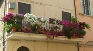 Al via Balcone fiorito