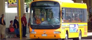 Un bus della Francigena