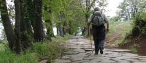 La Via Francigena