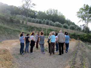 Torna Giardini e dintorni