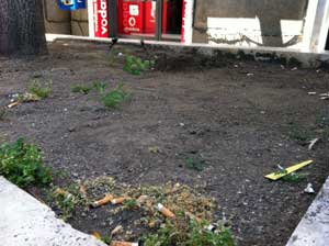 Le aiuole in via Marconi