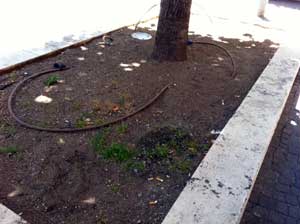 Le aiuole in via Marconi