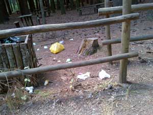 Il degrado al parco dei Cimini