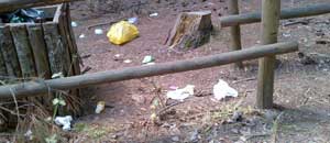 Il degrado al parco dei Cimini