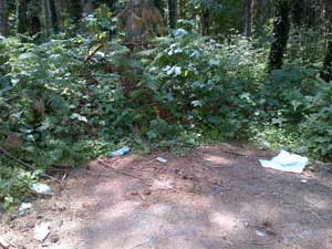 Il degrado al parco dei Cimini 
