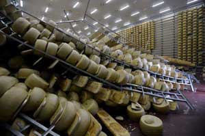 Il parmigiano reggiano "terremotato"