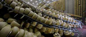 Il parmigiano reggiano "terremotato"