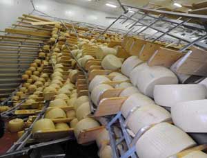 Il parmigiano reggiano "terremotato"