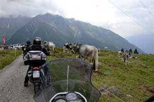Le "mukke" viterbesi a Garmisch