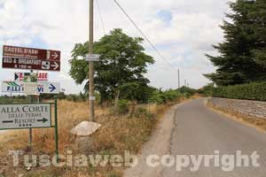 Strada Procoio