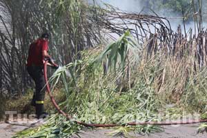 Le immagini dell'incendio in strada Bagni