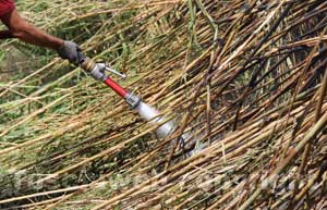 Vigili del fuoco in azione