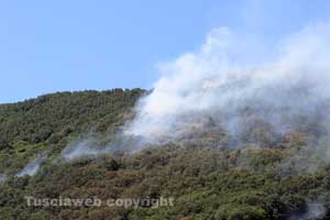 L'incendio al lago di Vico