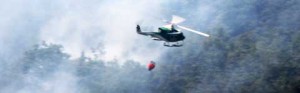 Un elicottero della forestale in azione