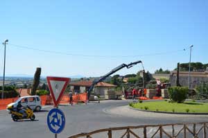 I pini abbattuti