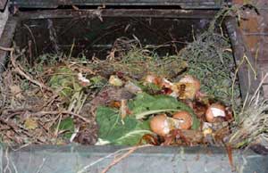 Corso gratuito di compostaggio