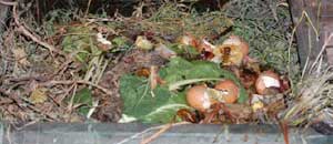 Corso gratuito di compostaggio