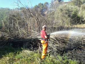 La Prociv in azione