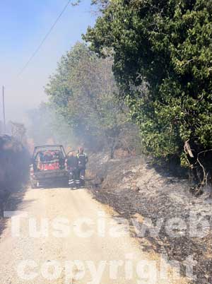 L'incendio sulla Cassia Sud