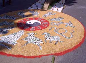 Le immagini dell'infiorata di Grotte Santo Stefano