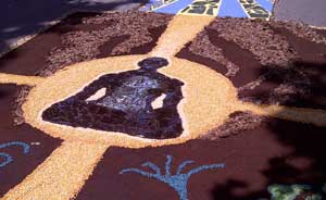 Le immagini dell'infiorata di Grotte Santo Stefano