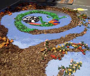 Le immagini dell'infiorata di Grotte Santo Stefano