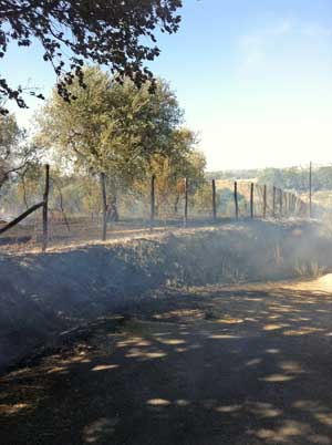 L'incendio sulla Cassia sud