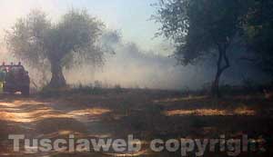 L'incendio e il fumo in località Mazzatosta