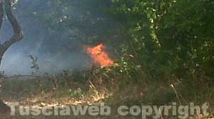 L'incendio e il fumo in località Mazzatosta
