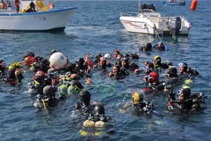 Il sindaco Caci si immerge per l'omaggio floreale alla Madonna