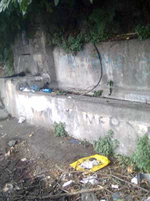 Il fontanile